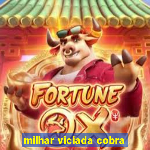 milhar viciada cobra